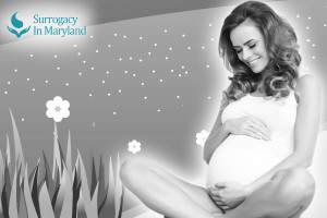Finding A Surrogate