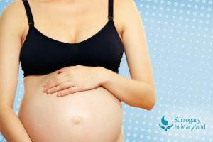 Surrogate Mothers Online