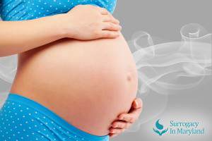 Definition of Surrogate Mother