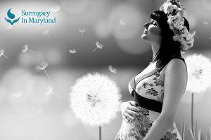 How To Become A Surrogate Mother