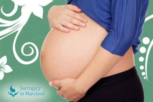 becoming a gestational surrogate