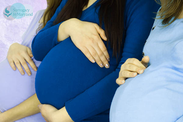 Surrogate Mother Pay in Baltimore, Maryland